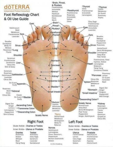 Foot Health & Foot Conditions  The Foot Spot – TFS - The Foot Spot